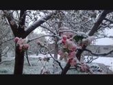 М да, ненадолго тепла
