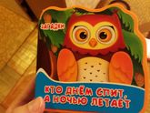 Про игрушки ребенка 1,6 лет. Наш опыт