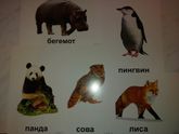 Дневничок развития: Георгию 6 месяцев