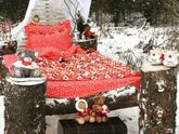Фотосесия с хаски