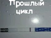 Тесты-врунишки!!!