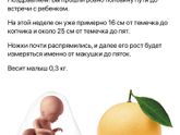Середина