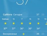 Жара 🔥