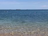 Доброе Морское Утро🐠🐟🐬🐳