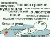 ЖИЗА:)))))