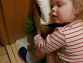 Сад