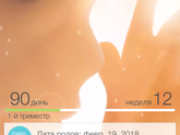 12 недель)