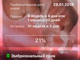 Правильный срок!