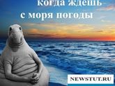 Сняли пессарий сегодня!Было