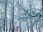 ❄️❄️❄️