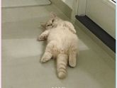 Кому знакомо?