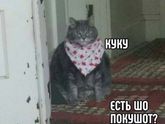 Мужской аппетит:))))
