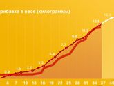 Вес на 37 неделе
