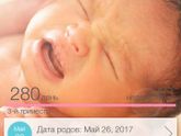 Пдр. 40 недель
