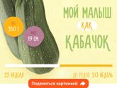 Кабачок?