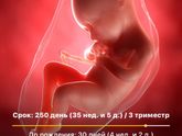 Уже осталось 30 дней,