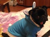 Наш зайчик)