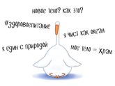 Прошло пол дня диеты
