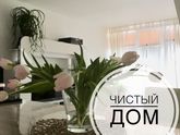 Приглашение на проект «Чистый дом»