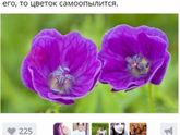 Эххх...