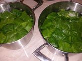 Могу есть бесконечно, моя любимая долма.