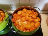 Варенье из абрикосов ?