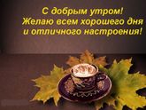 Выходные на лету