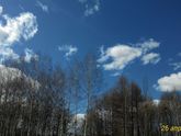 Прогулка