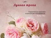 Любителям почитать. Мои книги. Отзывы. 7.