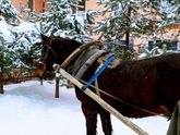 Эх. зима... столько разочарований...