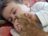 А вот и второй прорезался