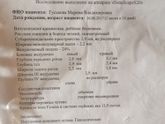 УЗИ головы