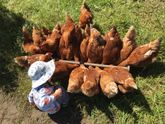 Сыну 2 года. Заметки и фото