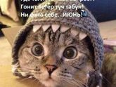 Хочу летооо!!!