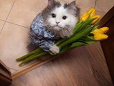 С праздником, куколки мои