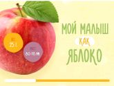 12 недель
