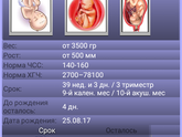 У всех вокруг паника,а я спокойная?