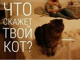 Подумай )))
