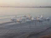 Море вечерняя прогулка