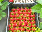 Рубиновый кулон