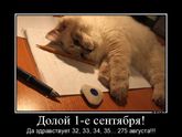 Мои ближайшие года 2-3😆