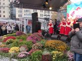 Фестиваль ко Дню народного единства. Пл. Революции