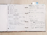 Bullet Journal (6)