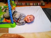 Мой соловей разбойник