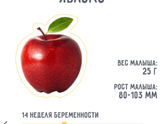 Пошла 14-ая неделя..)
