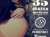 Ждем в марте?