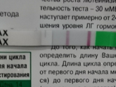 Тема овуляции