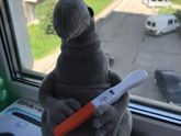 Результаты ЭКО :)