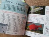 Наши новые энциклопедии