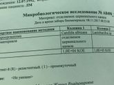 Мазок